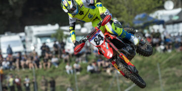 Dutch Masters : Harfsen en tête d’affiche pour animer la pause